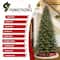 Glitzhome® 11ft Pre-Lit Green Full Fir Artificial Christmas Tree, Multicolor LED Lights
